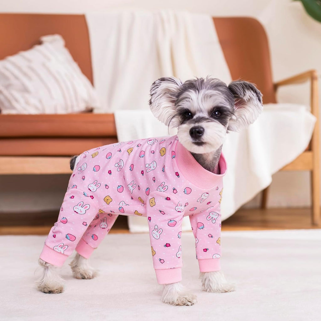 Miaododo lightweight dog recovery shirt alternative to surgical cone