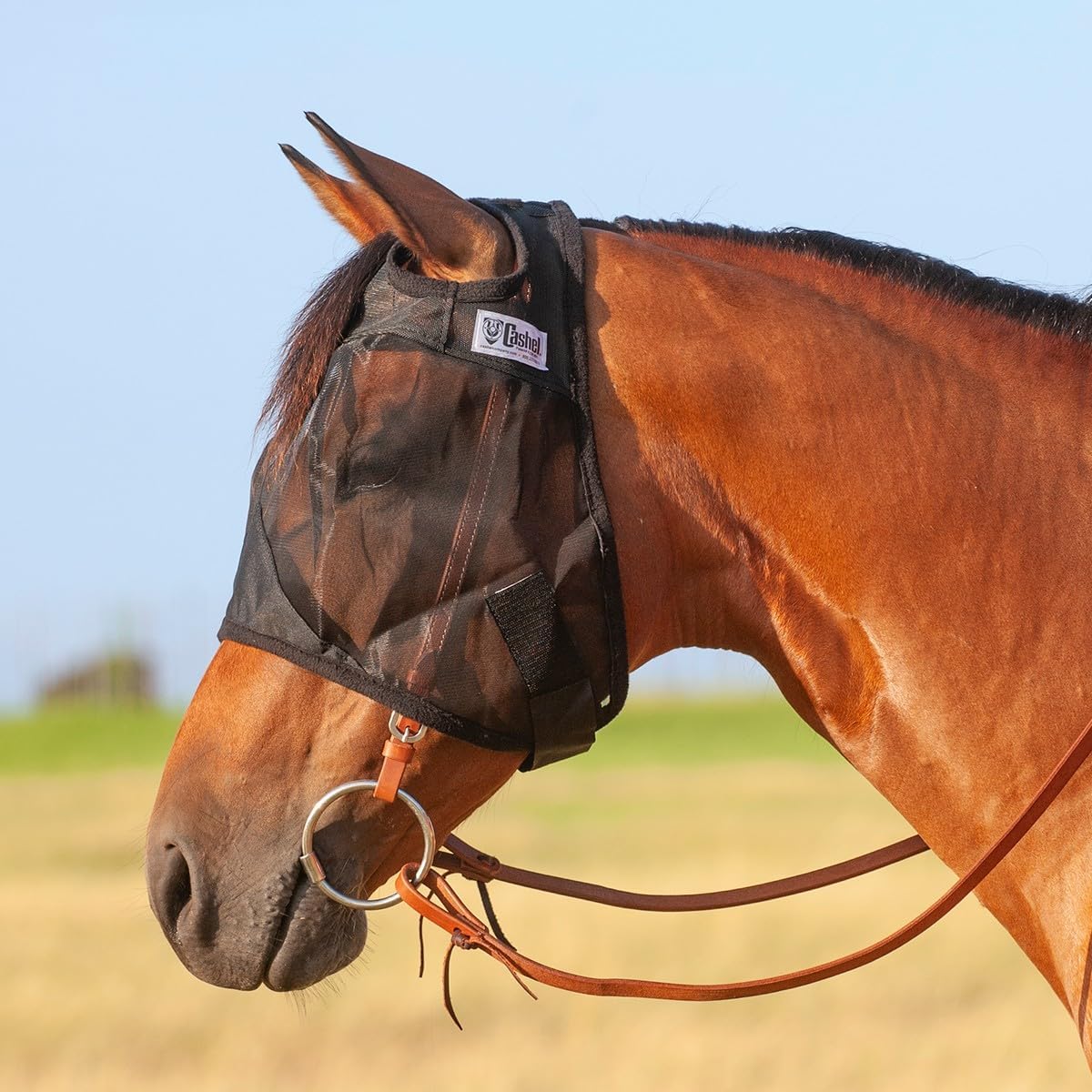 Cashel quiet ride horse fly mask front view