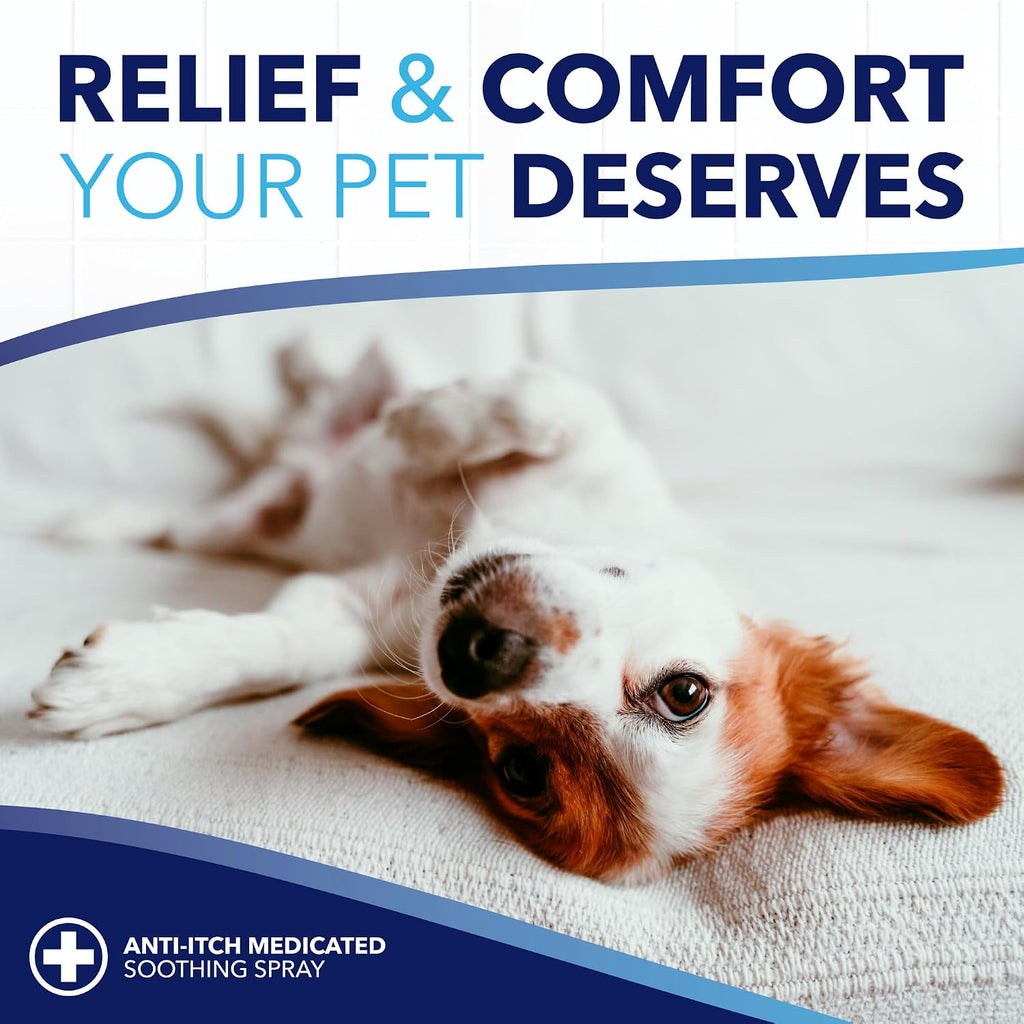 Paraben free and dye free pet cleansing wipes package back instructions