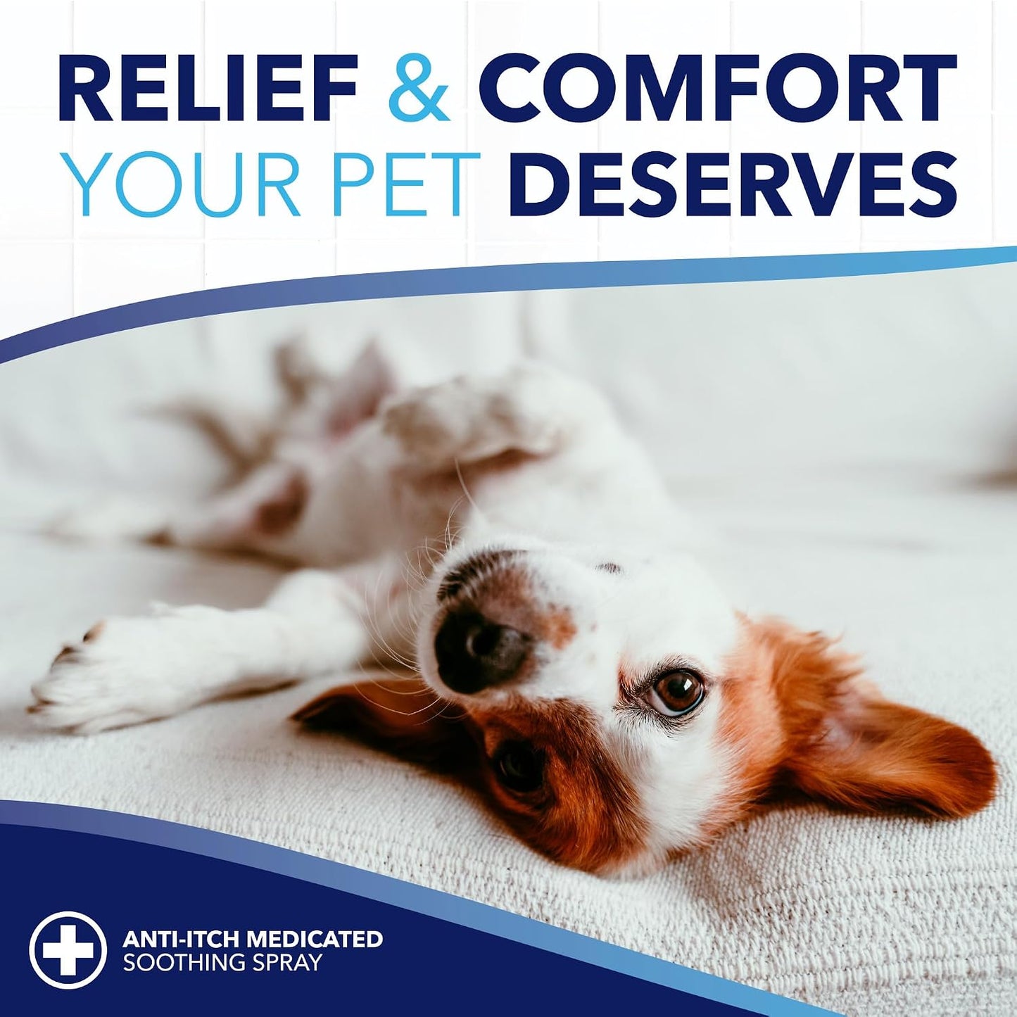 Paraben free and dye free pet cleansing wipes package back instructions