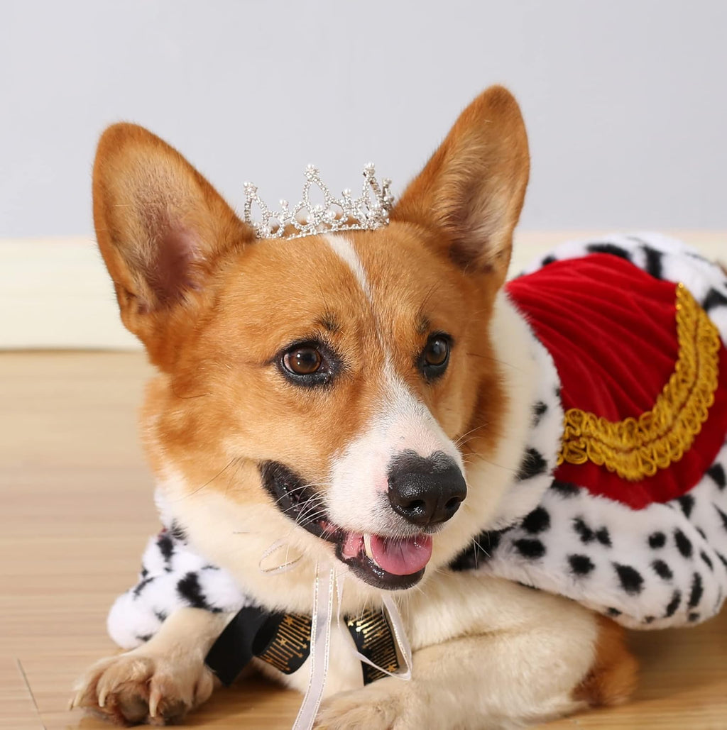 Lovelyshop Pet Series Silver Plated Royal Rhinestone Pearl Full Round Dog/Cat Crown for Rolyal Family Costume Hair Accessories-XSmall Size - Image 11