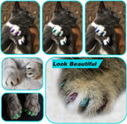 Medium size cat nail cap application process demonstration