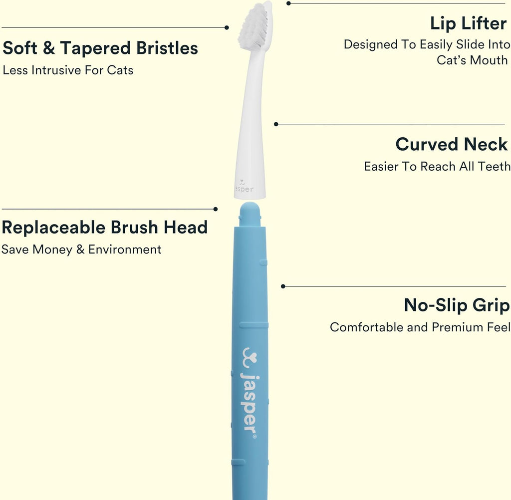 Replacing the brush head on Jasper cat toothbrush