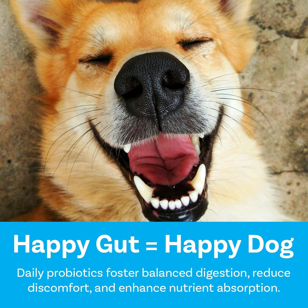 PawSafe 120 count dog gut health supplement container for diarrhea and gas relief.