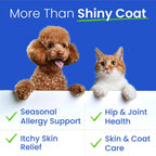 Bark&Spark omega 3 liquid pet supplement pump dispenser close up