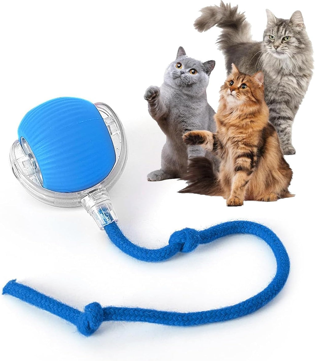 Rocfish Durable Interactive Cat Toys for Indoor Cats, Smart Automatic Cat Chase Ball Toy, Upgraded Speedy Tail Kitten Toy for Bored Indoor Adult Pets (Red) - Image 11