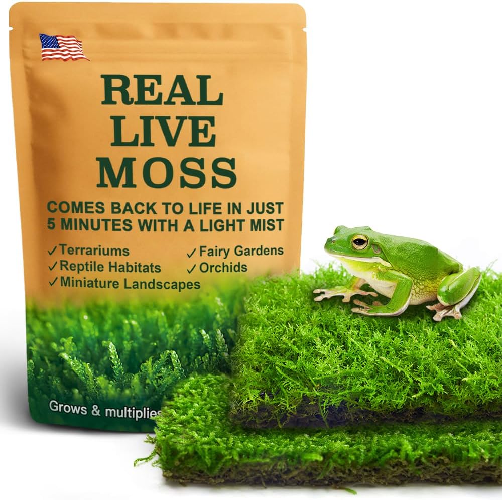 LuckyRunes Live Moss Duo Pack in box front view for terrarium decor