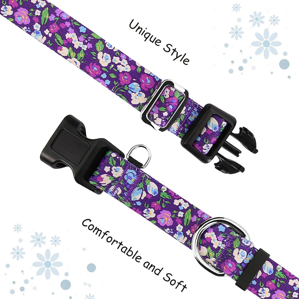 Fidohug adjustable nylon slip collar laid flat showcasing the limited-slip training loop