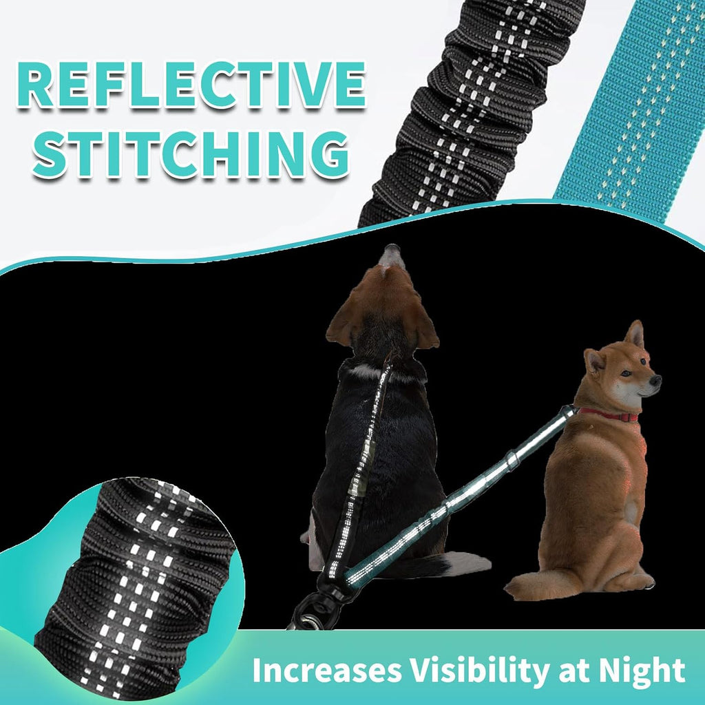 Purple shock absorbing bungee section showing elastic expansion of the premium double dog training lead