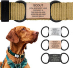 Personalized Dog Tags by ROAD iD | Silent & Durable | Jingle-Free Slide-On Design | Stainless Steel Name Tag Fits Any Collar | Multiple Colors & Sizes for Your Pet's Unique Style - Image 12