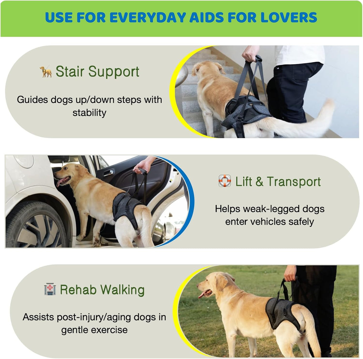 Bardimies dog support sling showing adjustable handle features