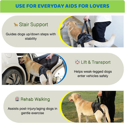 Bardimies dog support sling showing adjustable handle features