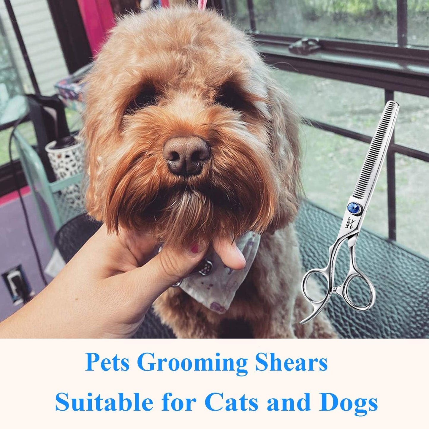 JASON left handed dog grooming tool set including cleaning cloth and premium shear