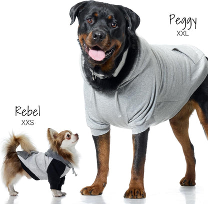 Pet Passion Rocky II hooded pet jacket packaging and hood details.