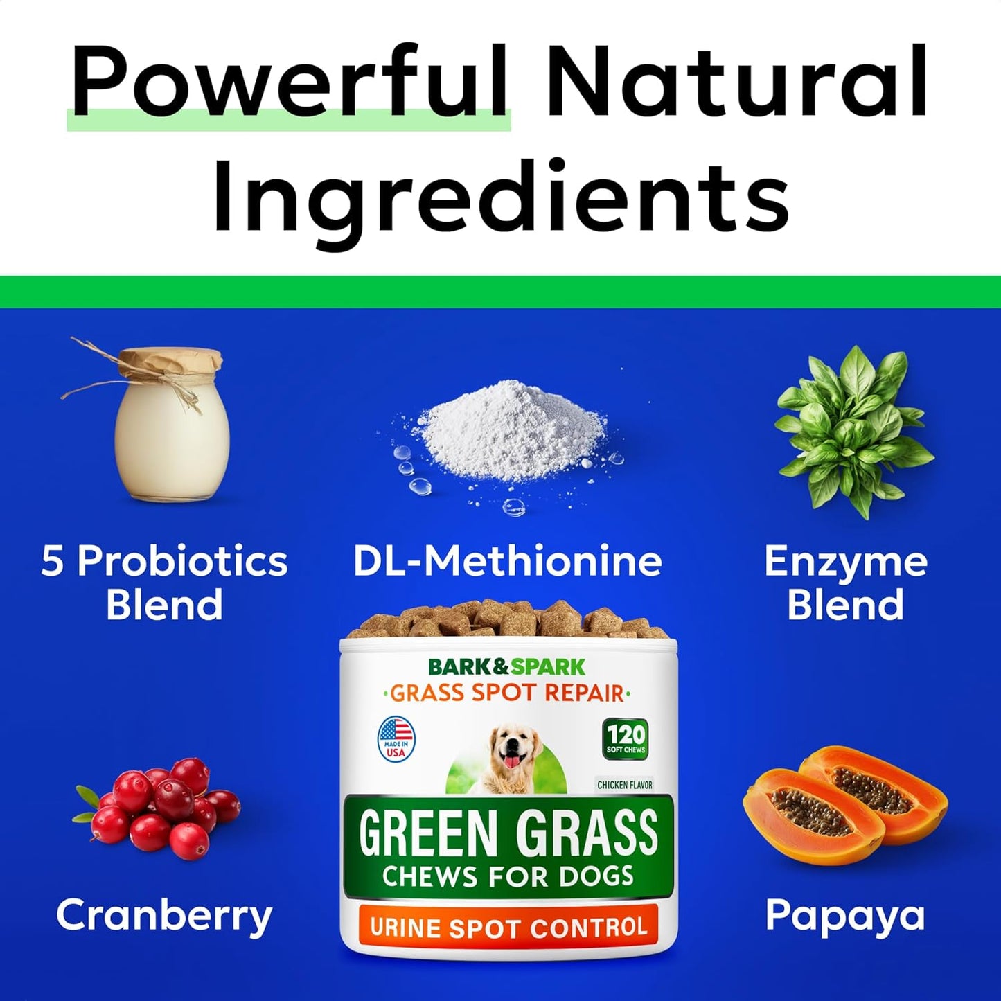 Probiotics and enzymes dog chews for urinary health