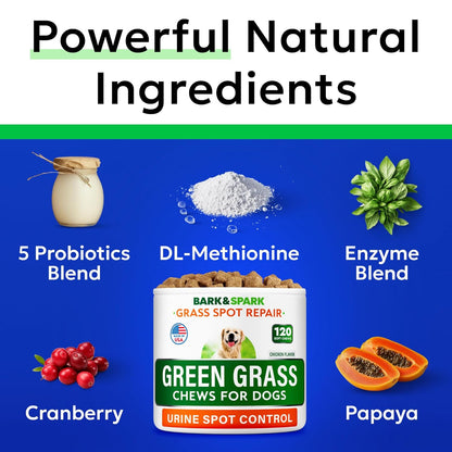Probiotics and enzymes dog chews for urinary health