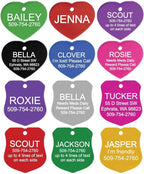 GoTags pet supply accessory displayed on a flat surface