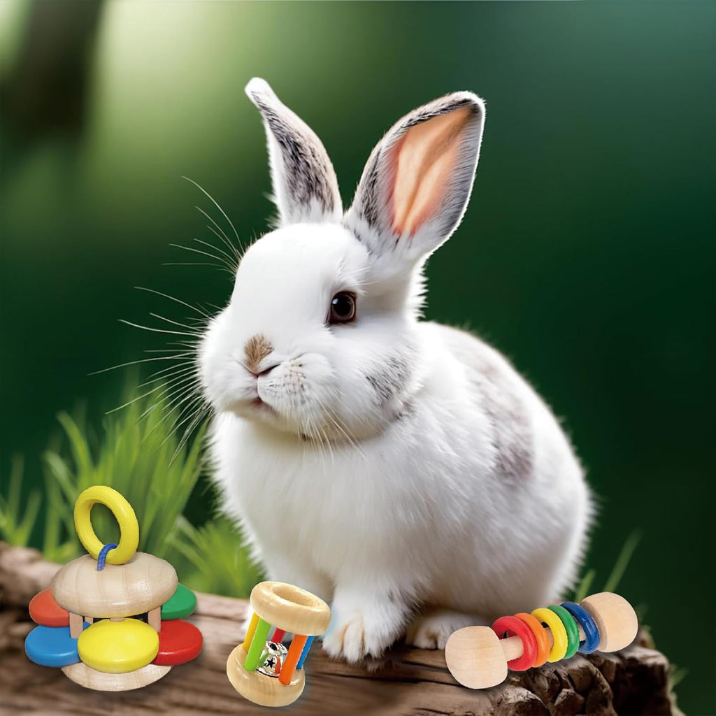 QWR 9PCS Wooden Bunny Toys,Safe Rabbit & Guinea Pigs Teeth Grinding Toy for Chinchillas, Hamsters & Small Animals - Indoor & Outdoor - Image 9
