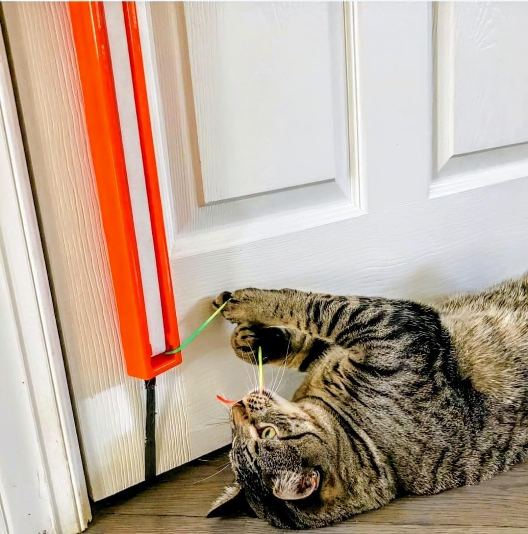 Moody Pet Fling-Ama-String lifestyle view with happy kitten