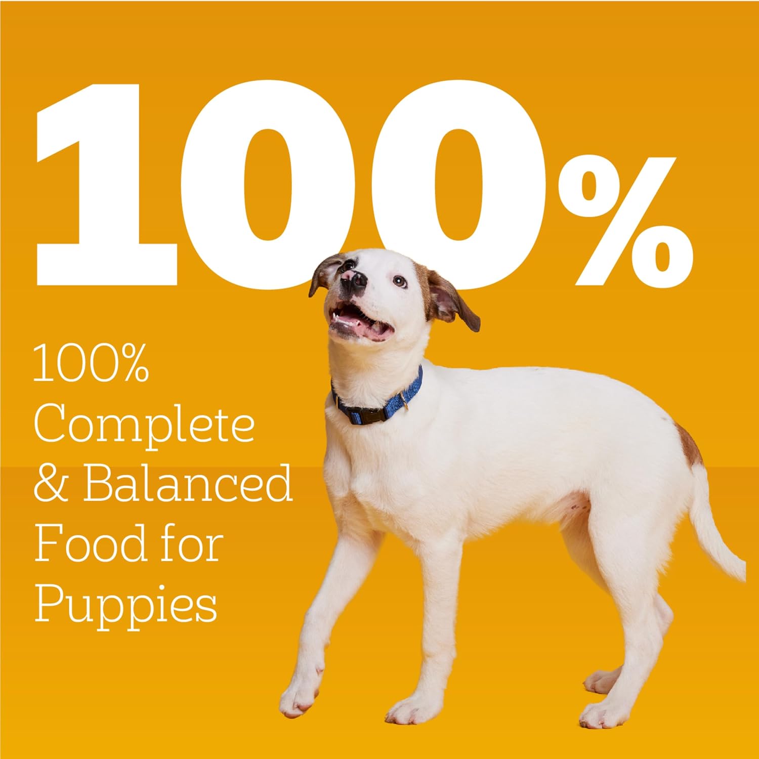 Pedigree Puppy Chopped Ground Dinner Wet Puppy Food with Chicken & Beef, Canned Dog Food, 13.2 oz. Cans, 12 Count - Image 11