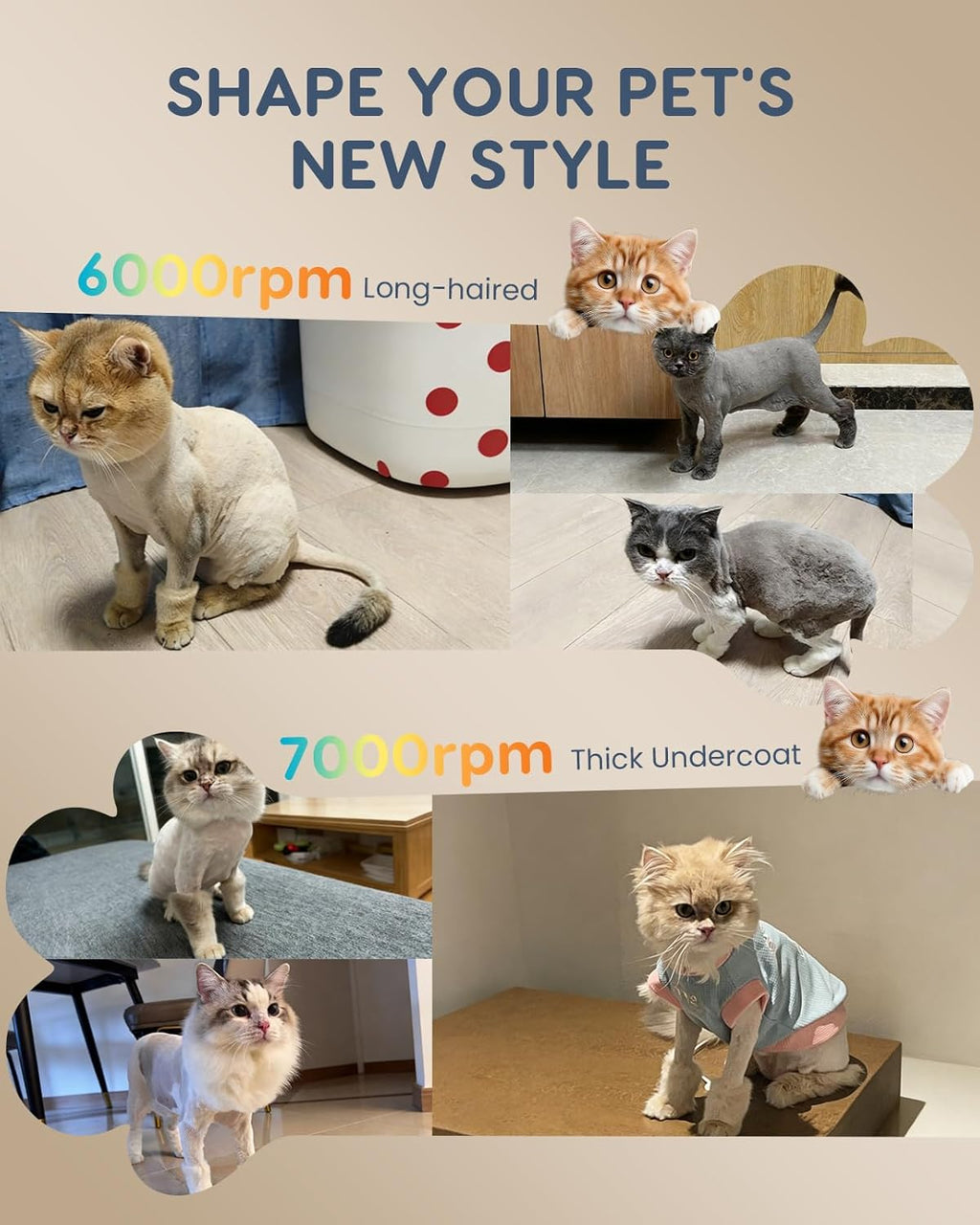 Full premium pet grooming kit layout including guide guards, scissors, and charging accessories.
