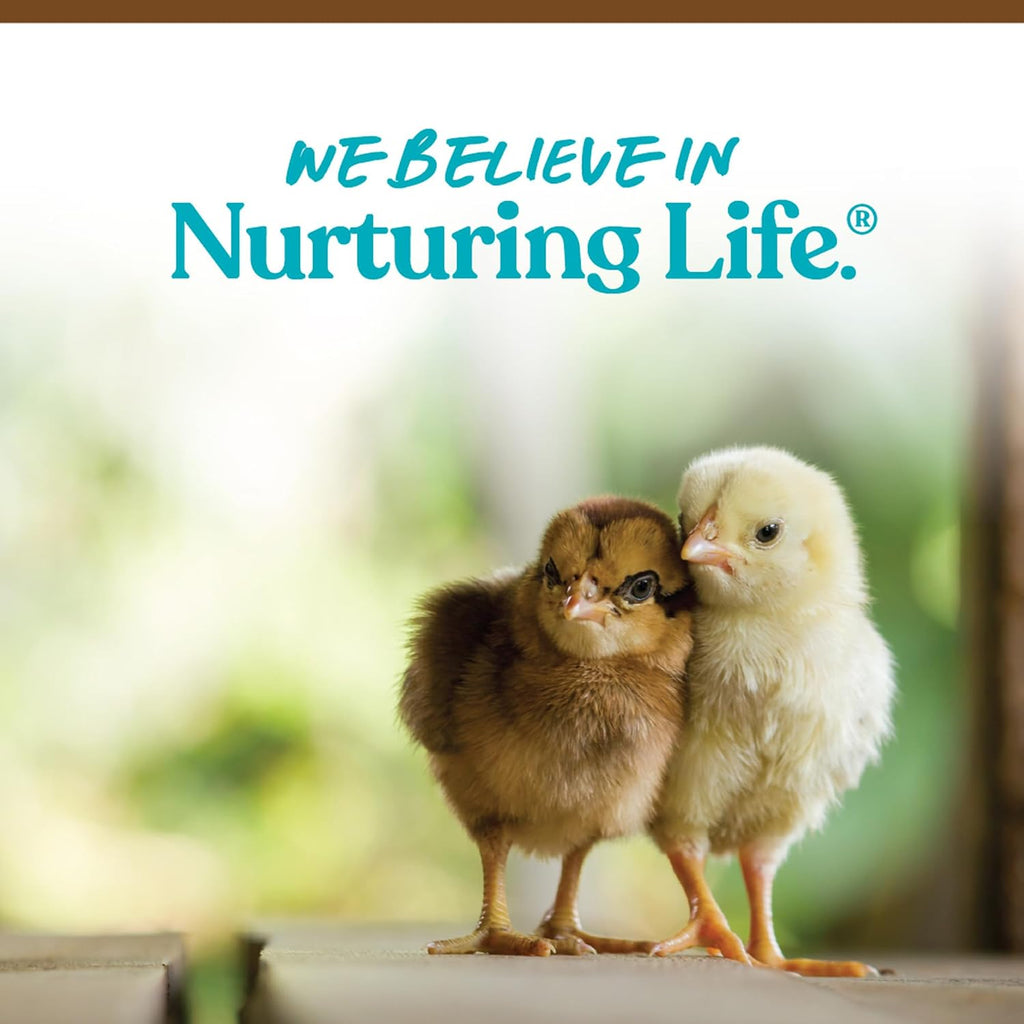Instructions on feeding chicks Manna Pro starter crumbles