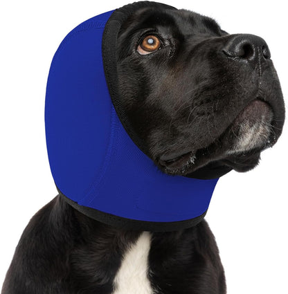 Dog hematoma ear wrap applied to a small breed for post surgery protection