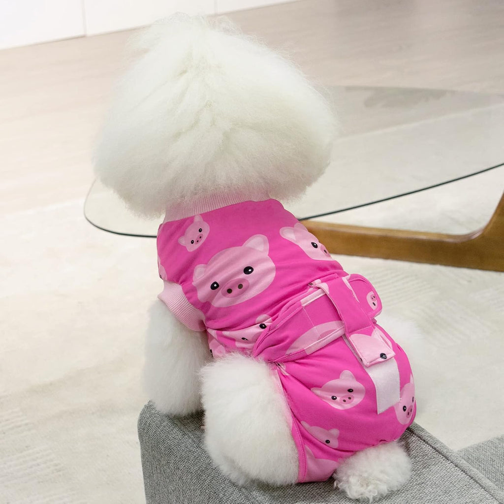 CuteBone Female Male Body Suit protecting surgical incision on a puppy
