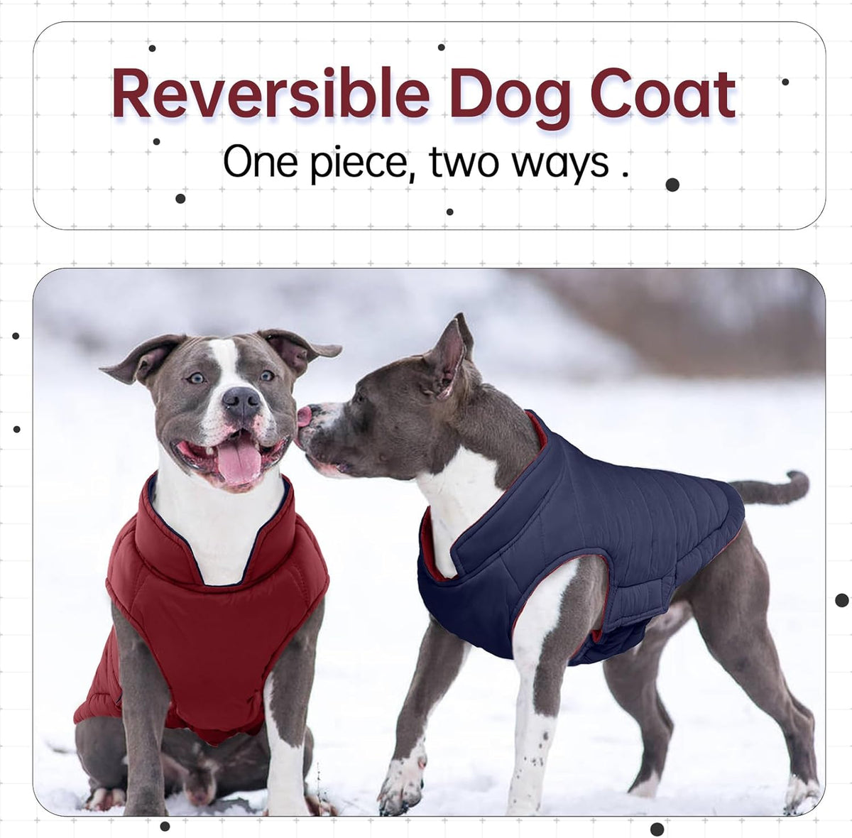 Lelepet winter dog jacket showing the dark blue reversible interior side