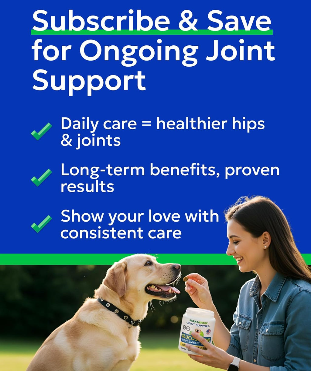 Natural grain free pet joint chews by Bark And Spark showcasing anti inflammatory benefits