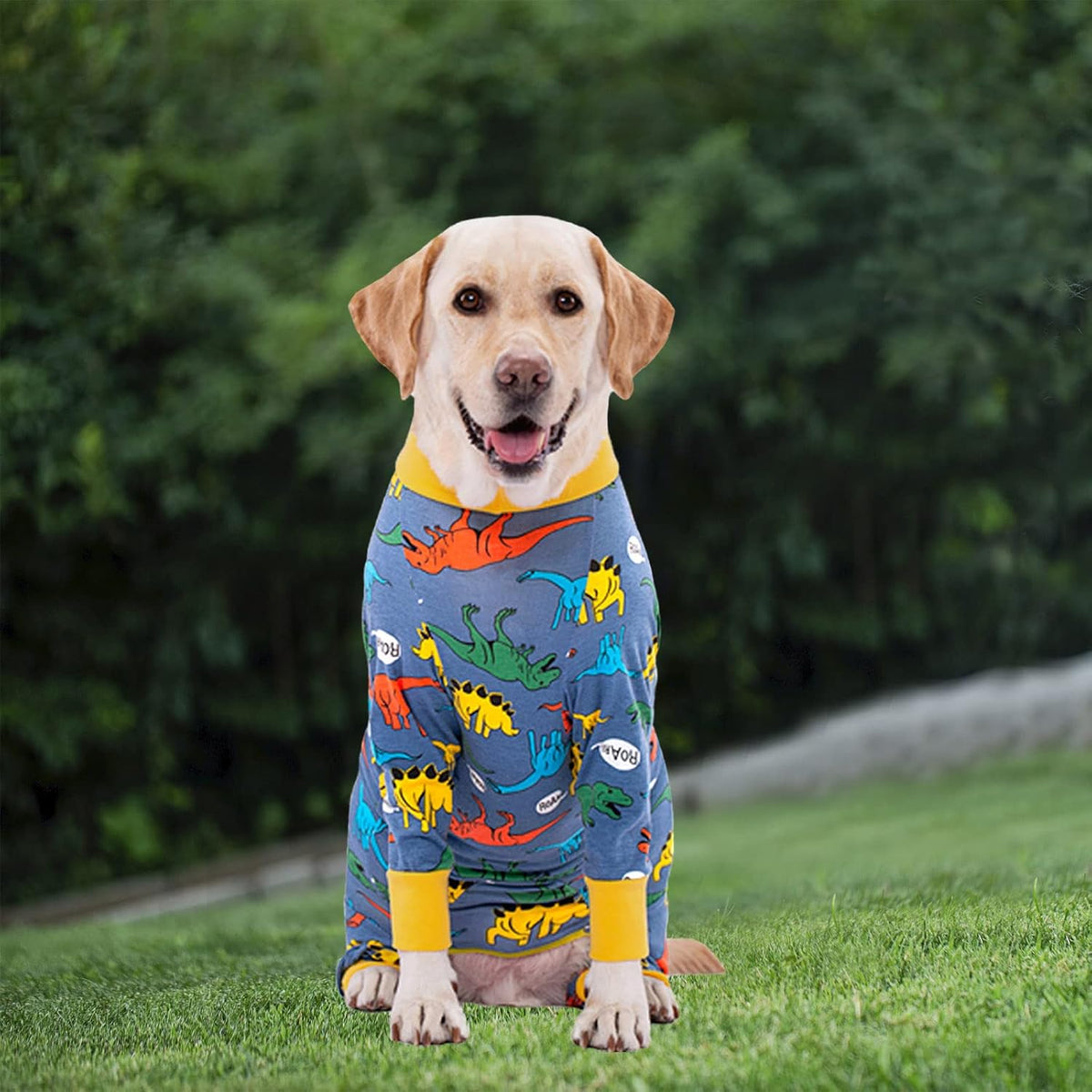 Dog surgical recovery suit abdominal design highlighting easy toilet break access.