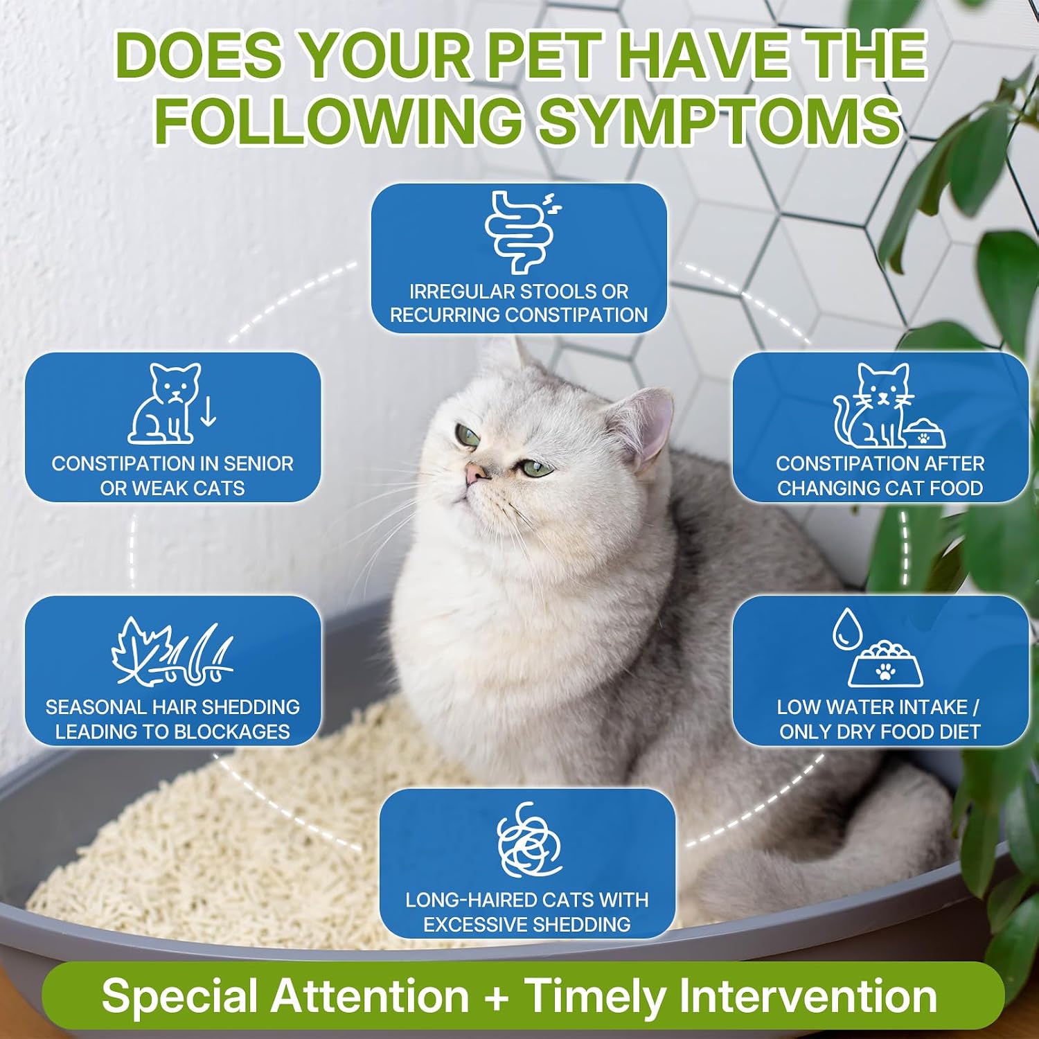 NIFEISHI chicken flavor feline laxative for gentle stool softening