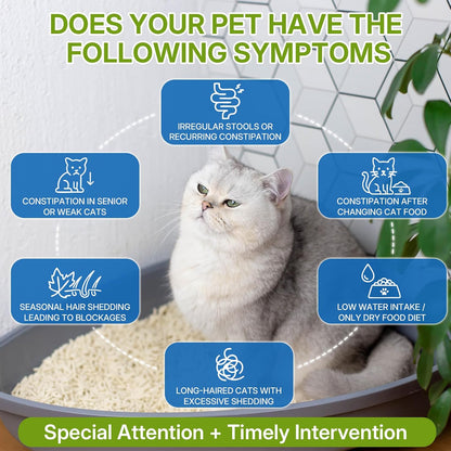 NIFEISHI chicken flavor feline laxative for gentle stool softening