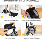 Adjustable buckle detail on Dotoner dog mobility harness