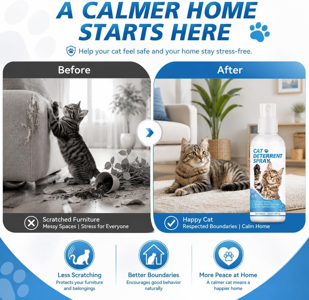 Cat deterrent spray for rugs and carpets