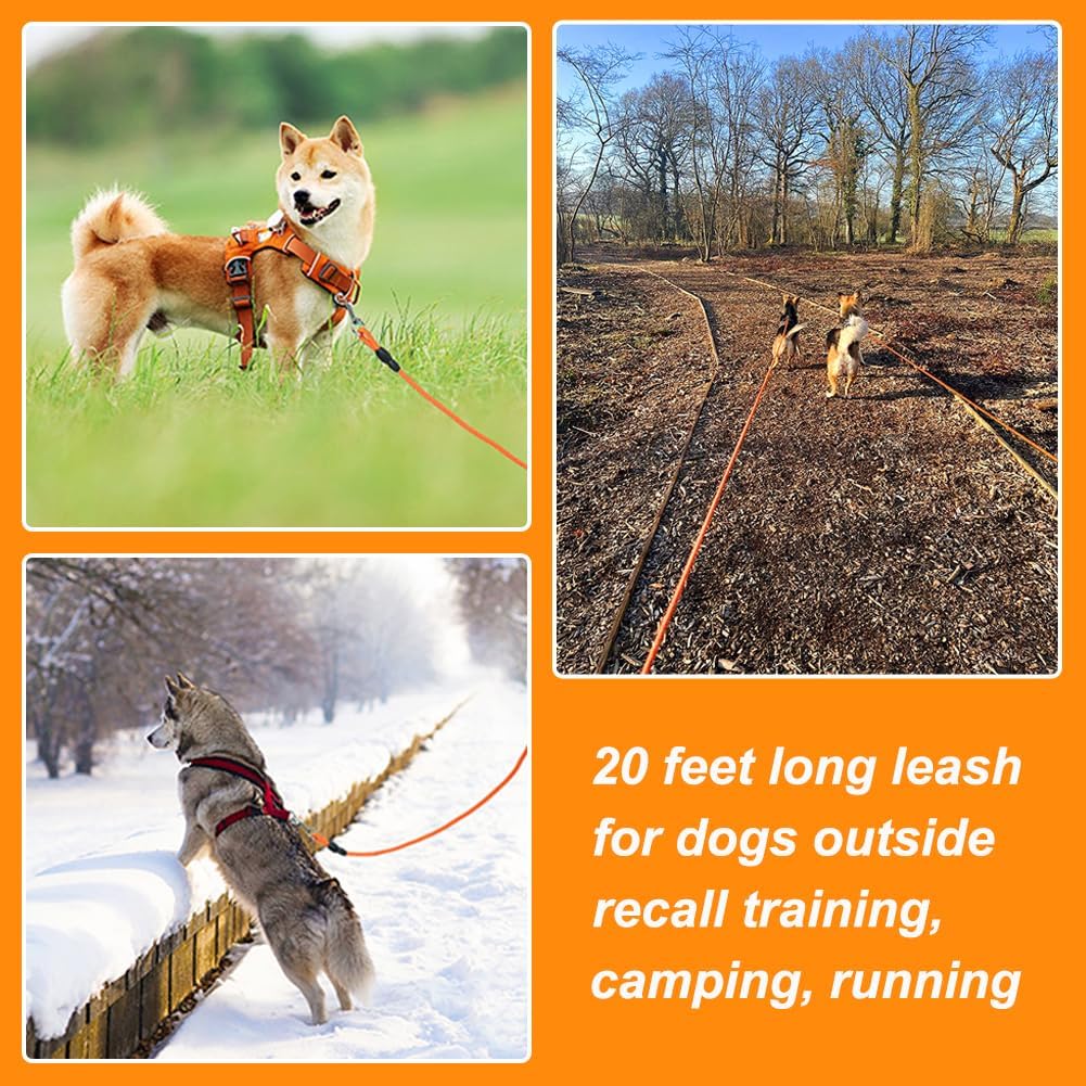 Vivifying lightweight polypropylene dog leash durable pet tracking cord