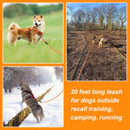 Vivifying lightweight polypropylene dog leash durable pet tracking cord