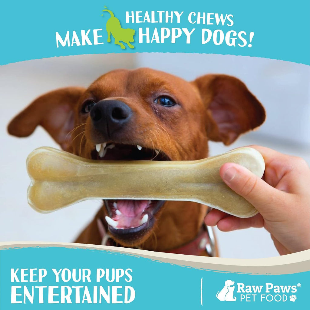 Raw Paws dental chews for large dogs showing the dense compressed texture
