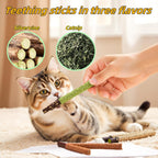 Cat Toys 12PCS Mix Catnip Chew Rope Silvervine Stick for Indoor Cat - Image 6