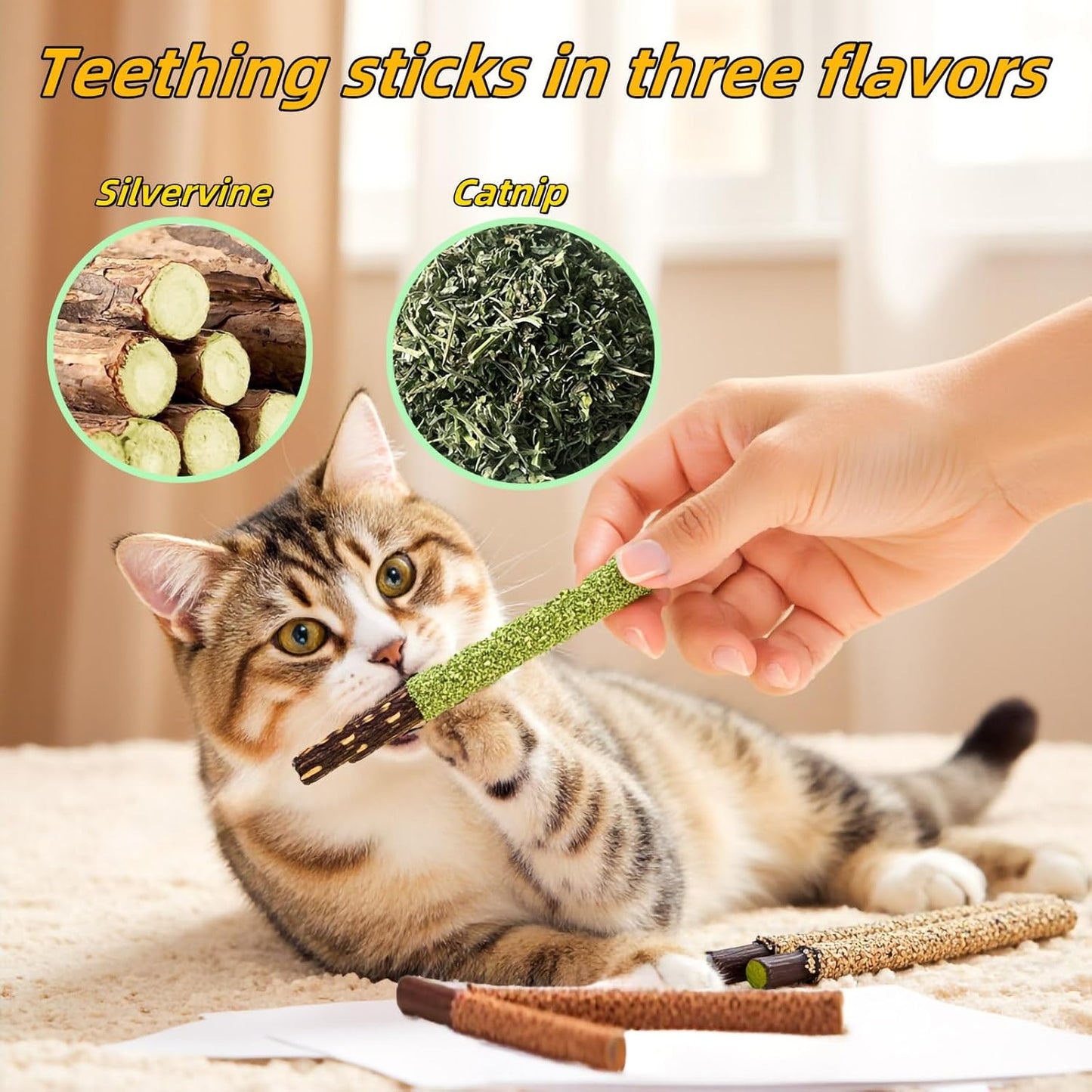 Kitten interacting with catnip infused kicker toy