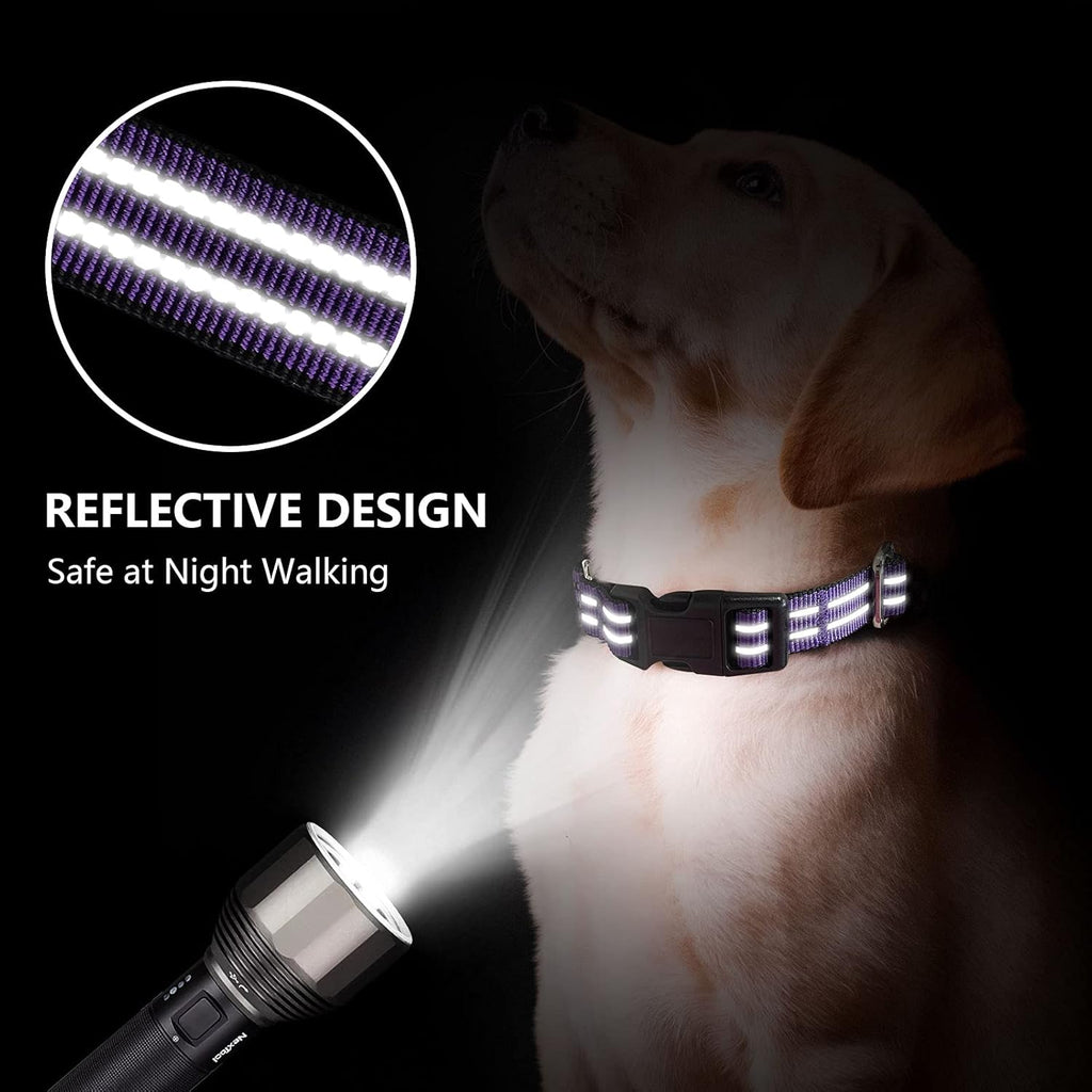 Hikiko no slip dog collar with quick release buckle detail