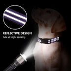 Hikiko no slip dog collar with quick release buckle detail