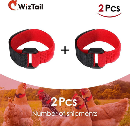 Lyla cockerel collar showing the texture and premium material finish of the poultry bands