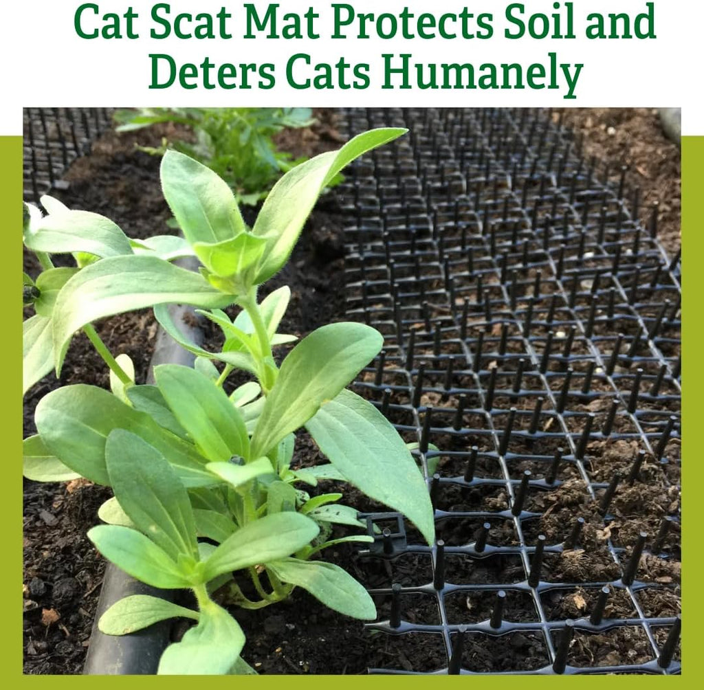 Cat scat mat placed inside a flower pot for plant protection