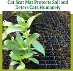 Cat scat mat placed inside a flower pot for plant protection