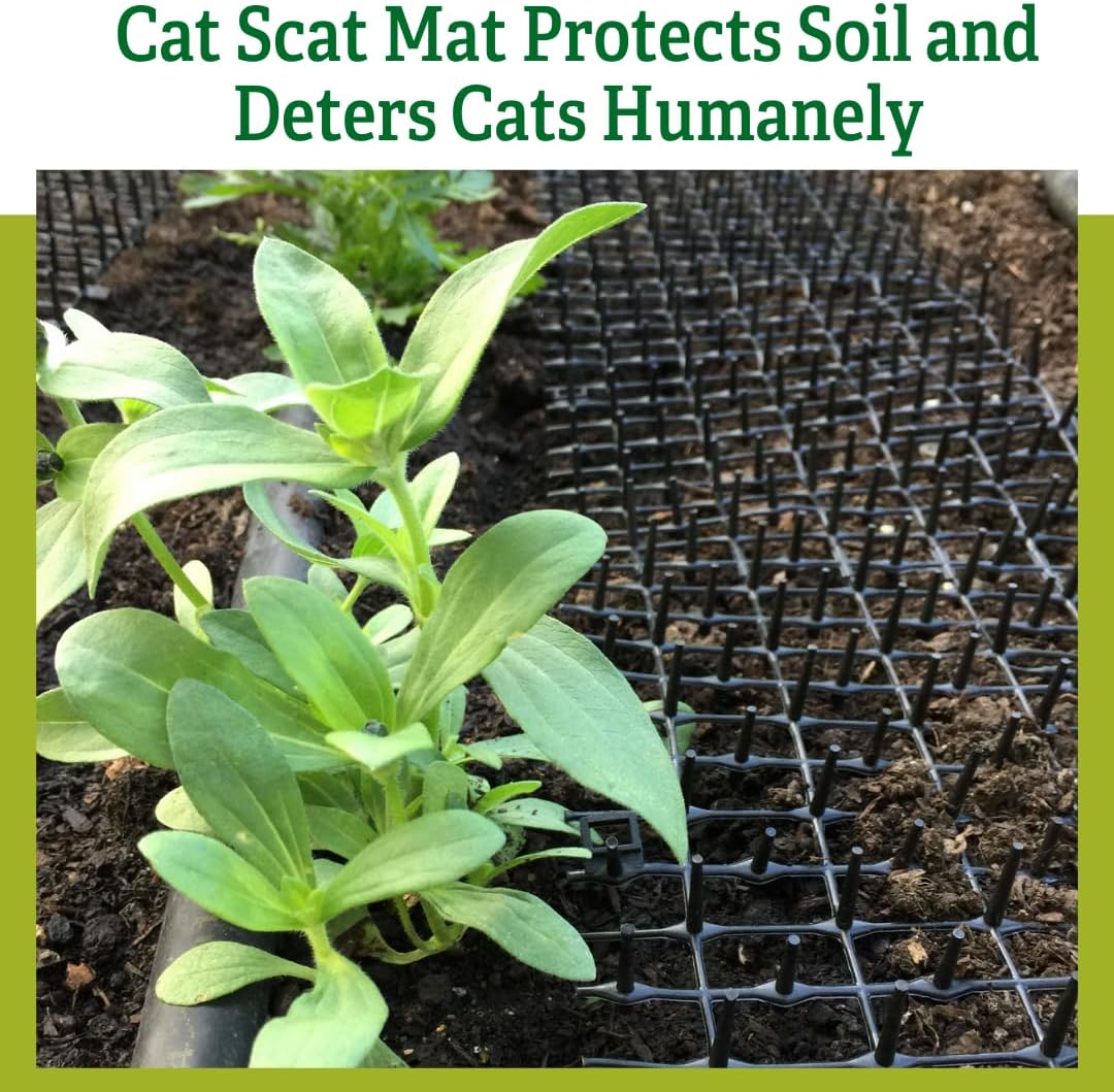 Cat scat mat placed inside a flower pot for plant protection