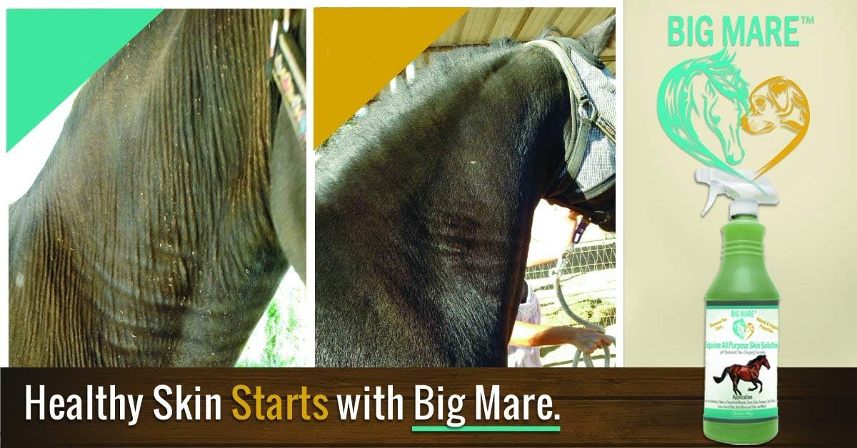 Big Mare horse skin care spray bottle showing antibacterial and antifungal benefits