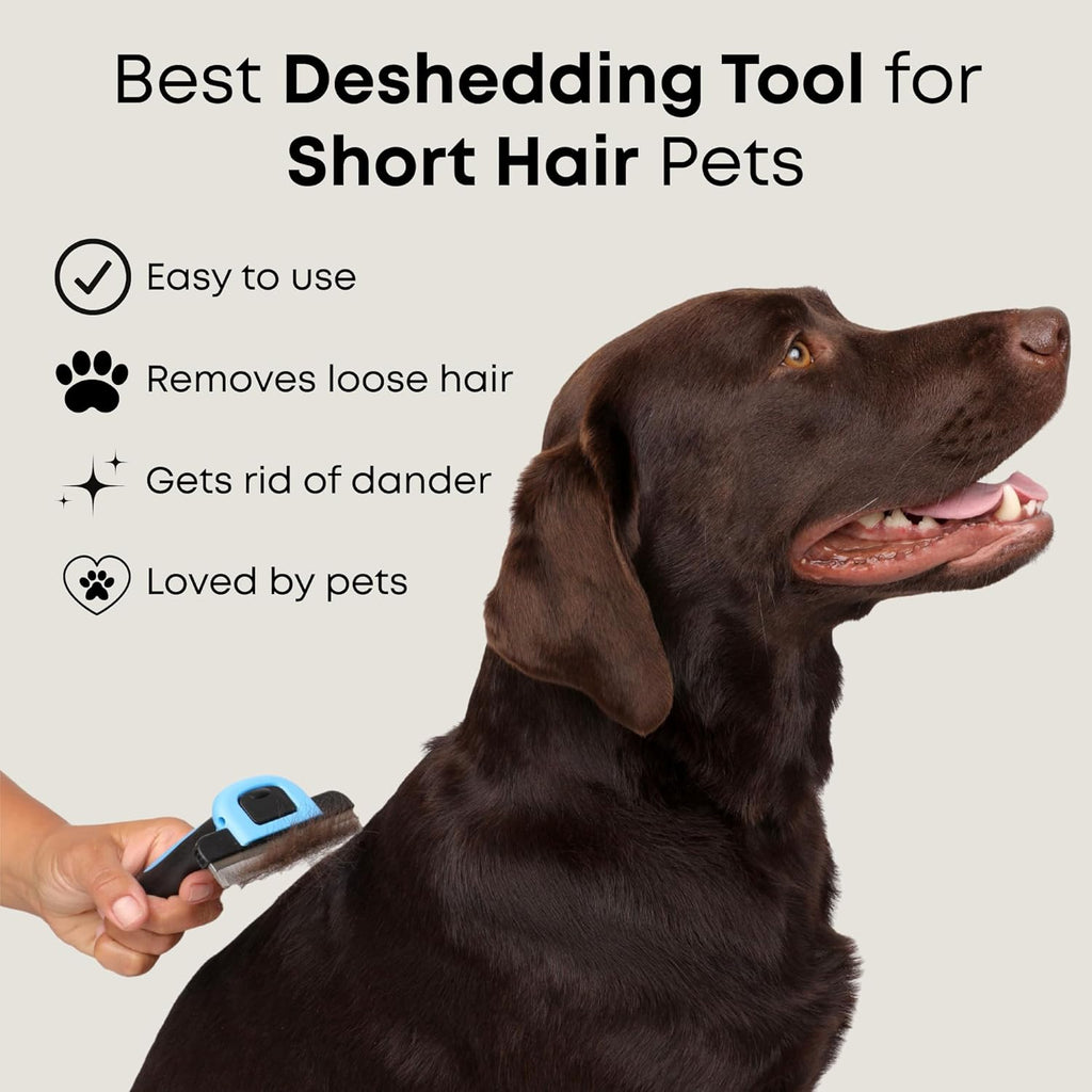 Quick release hair button feature on Freshly Bailey pet comb