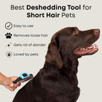 Quick release hair button feature on Freshly Bailey pet comb