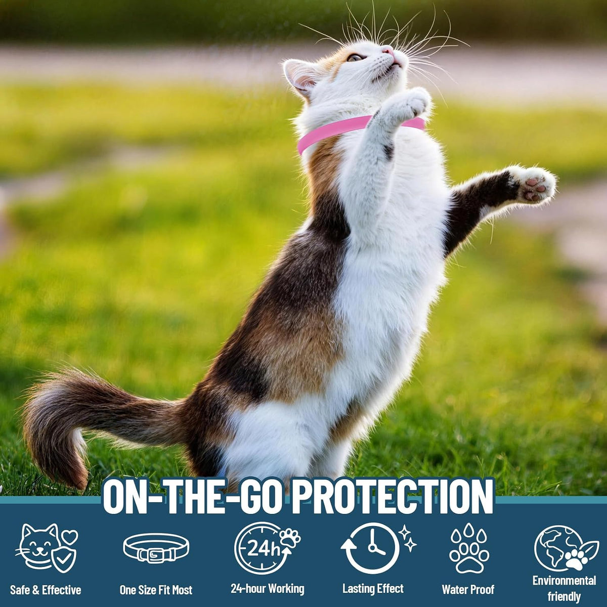 Close up of Vicsom adjustable cat flea collar buckle